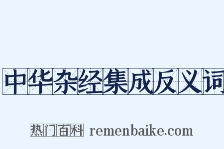 中华杂经集成反义词是什么意思的图片